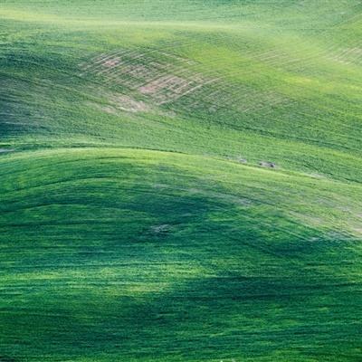 橙光游戏亲爱的小鲜肉破解版下载